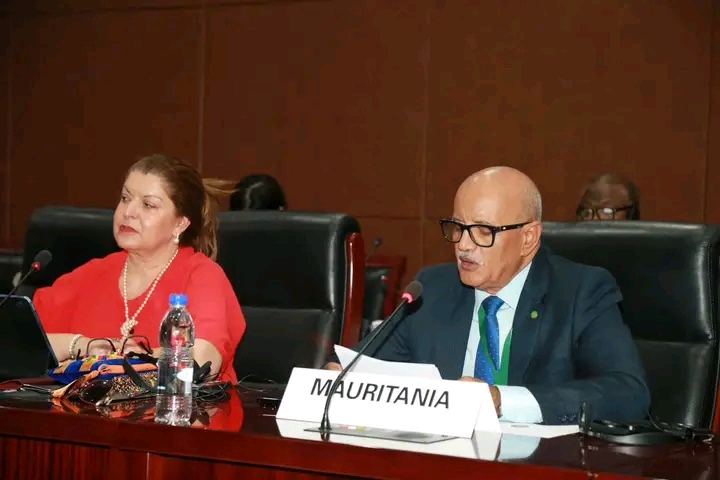 موريتانيا تستعرض جهودها في حماية حقوق الطفل أمام اللجنة الإفريقية