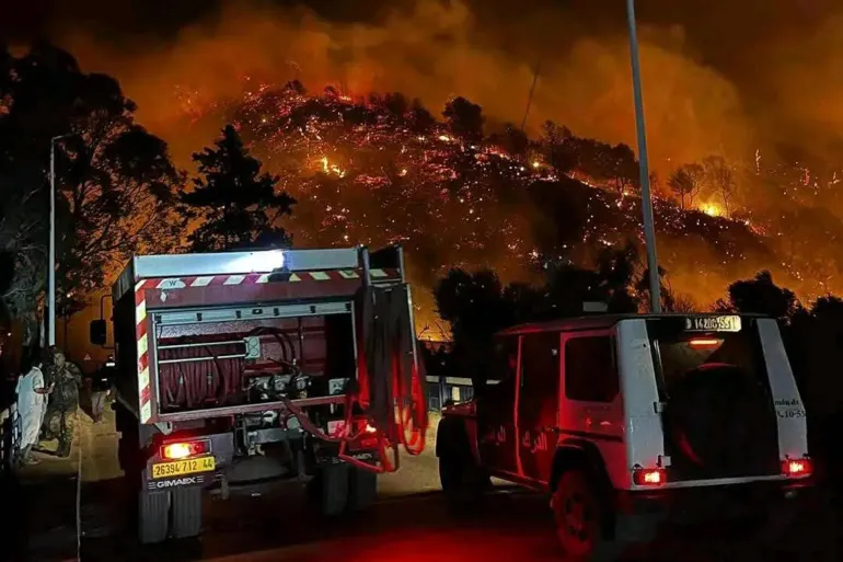 إخماد 43 حريقًا للغطاء النباتي في الجزائر خلال 24 ساعة