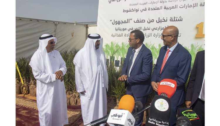 موريتانيا تتسلم 1000 شتلة نخيل هدية من جائزة خليفة الدولية لنخيل التمر