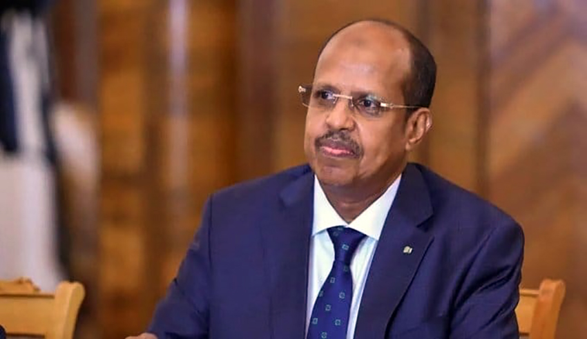 الاتحاد الإفريقي يدين الهجمات المسلحة على باماكو ومدن مالية