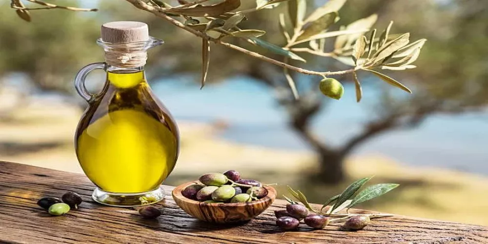 تونس: توقعات رسمية بإنتاج 340 ألف طن من زيت الزيتون