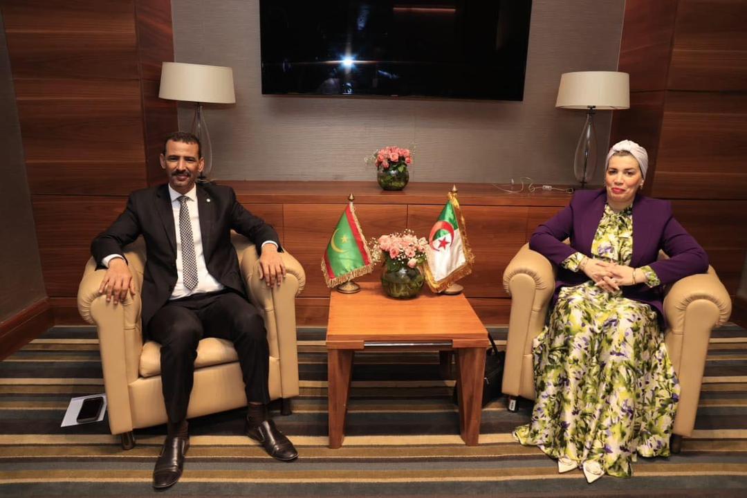 موريتانيا والجزائر تبحثان سبل تحسين الأوضاع المهنية للفنانين