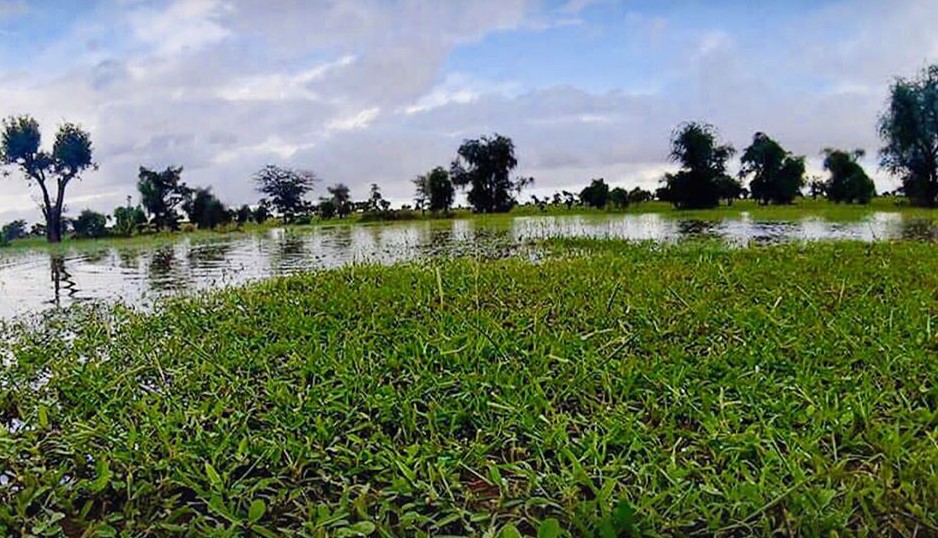 توقع أمطار خفيفة على الحوضين