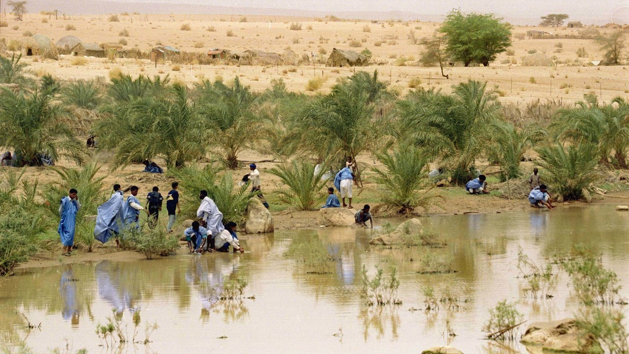 موريتانيا: توقع أمطار على المناطق الشمالية والوسطى من البلاد