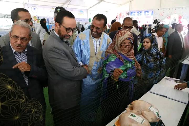 وزارة التنمية الحيوانية: تمكنا من إطلاق مجموعة من المبادرات من بينها خفض أسعار اللحوم