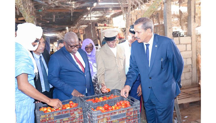 وزير التجارة : وضعية السوق جيدة و المواد المحلية تتميز بجودة عالية