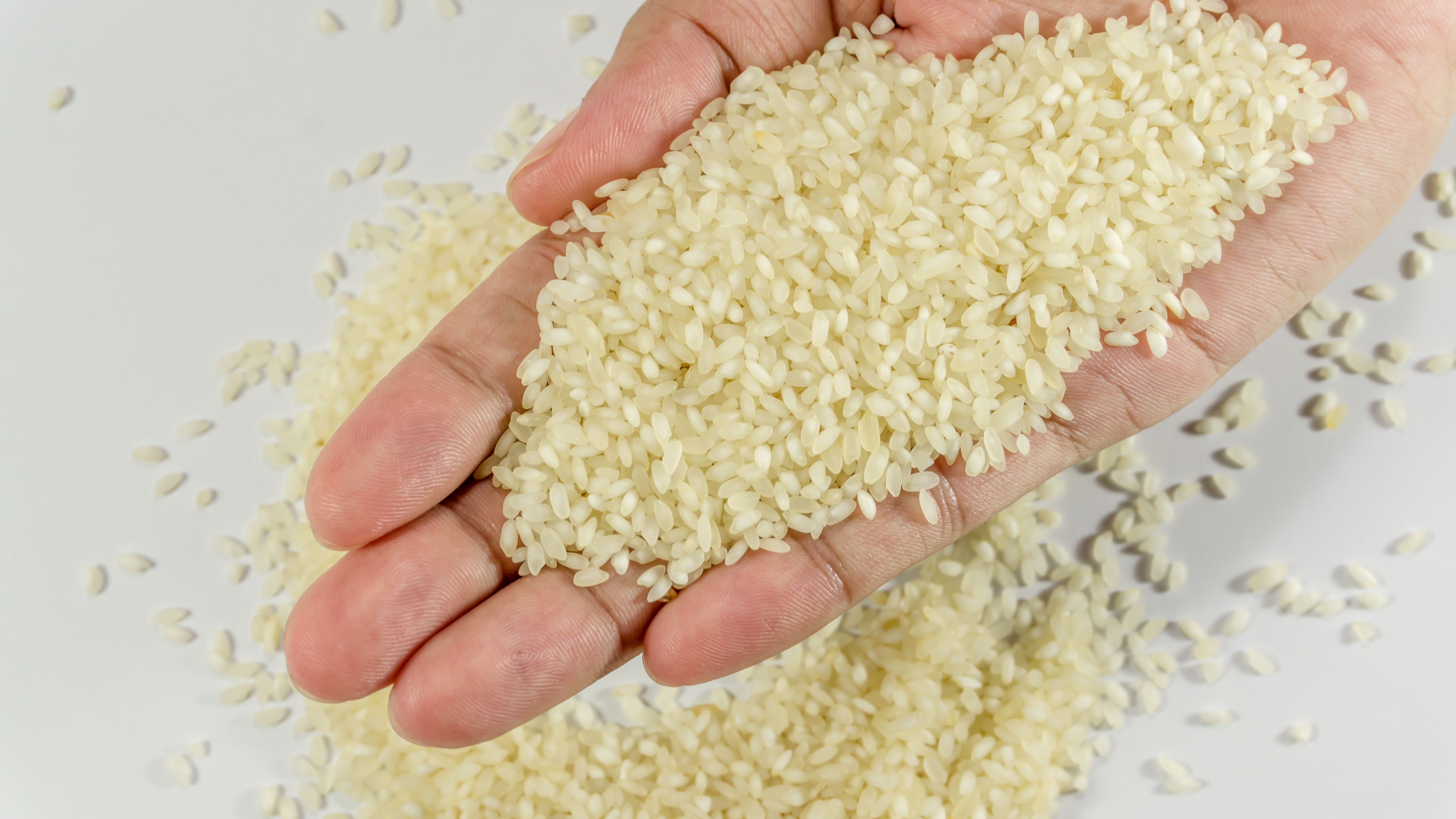 وزارة الزراعة: الإنتاج الوطني من الأرز يغطي 90% من حاجيات البلد