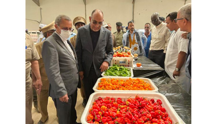 كرمسين: وزراء يتفقدون بعض المنشآت الزراعية