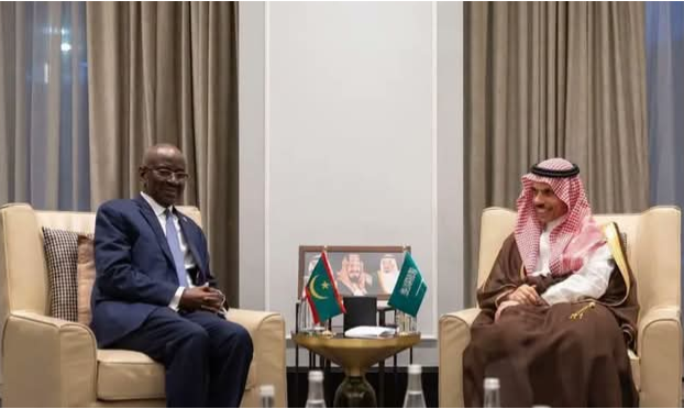 ولد مرزوك يبحث مع نظيره السعودي مستجدات إقليمية وقضايا مشتركة