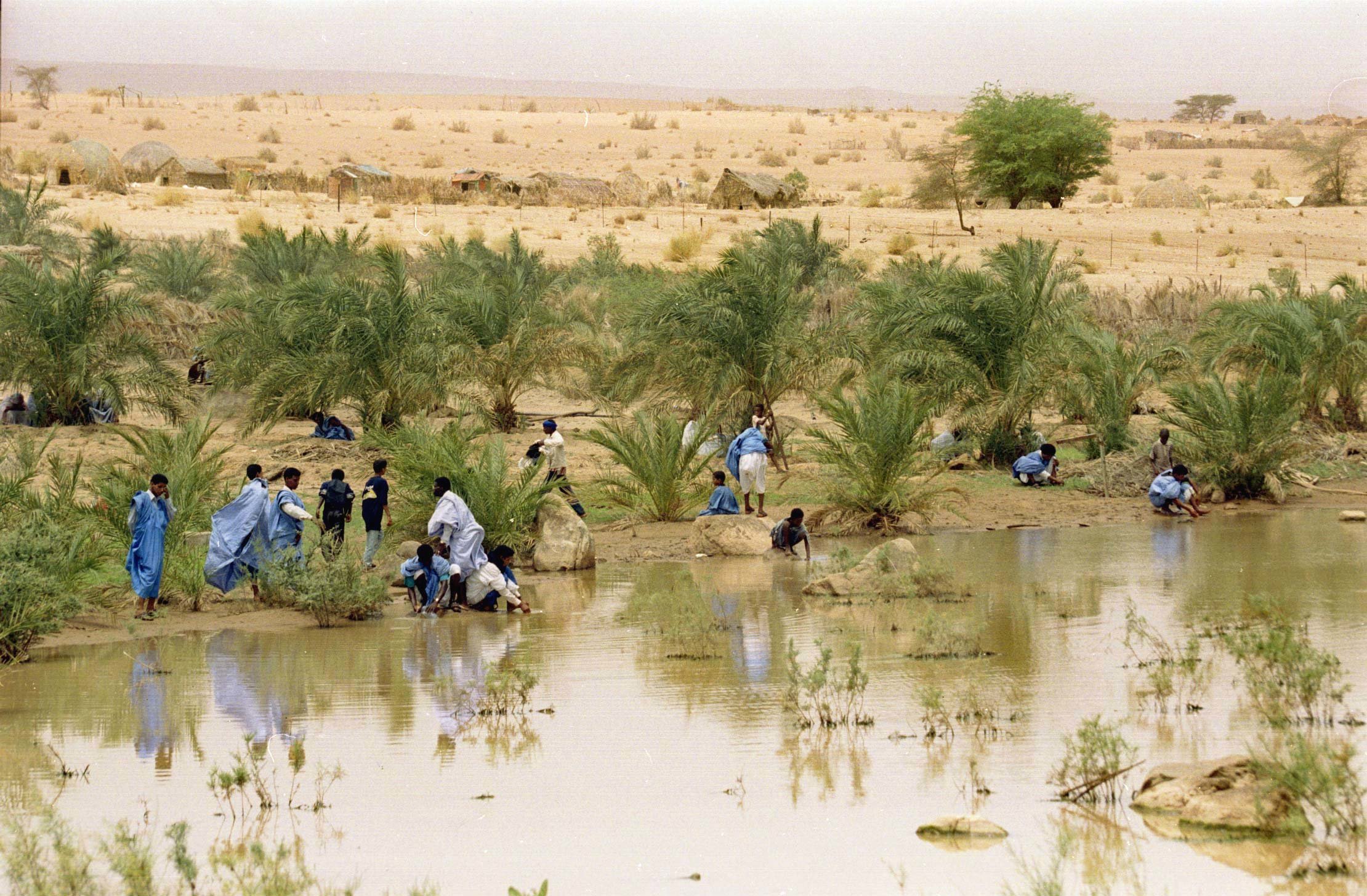 موريتانيا: أمطار بلغت 35 ملم في ولاية آدرار