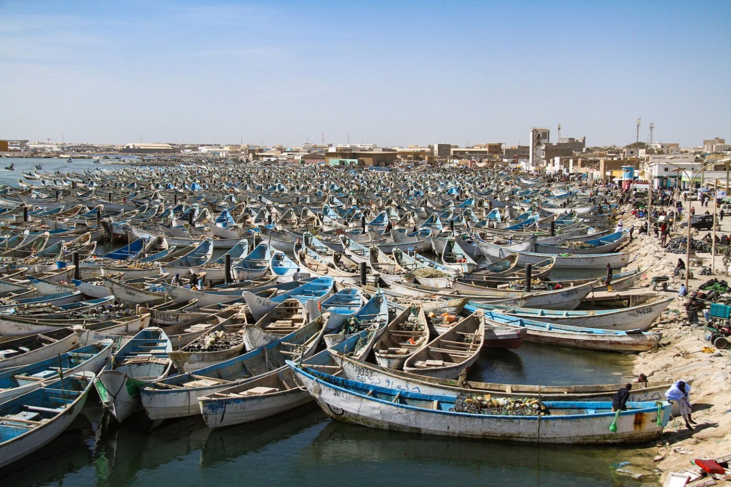 تحديد منتصف شهر نوفمبر لاستئناف نشاط الصيد التقليدي