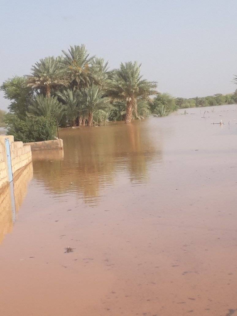 موريتانيا: الجيش يعلن إجلاء المتضررين جراء السيول في انبيكه