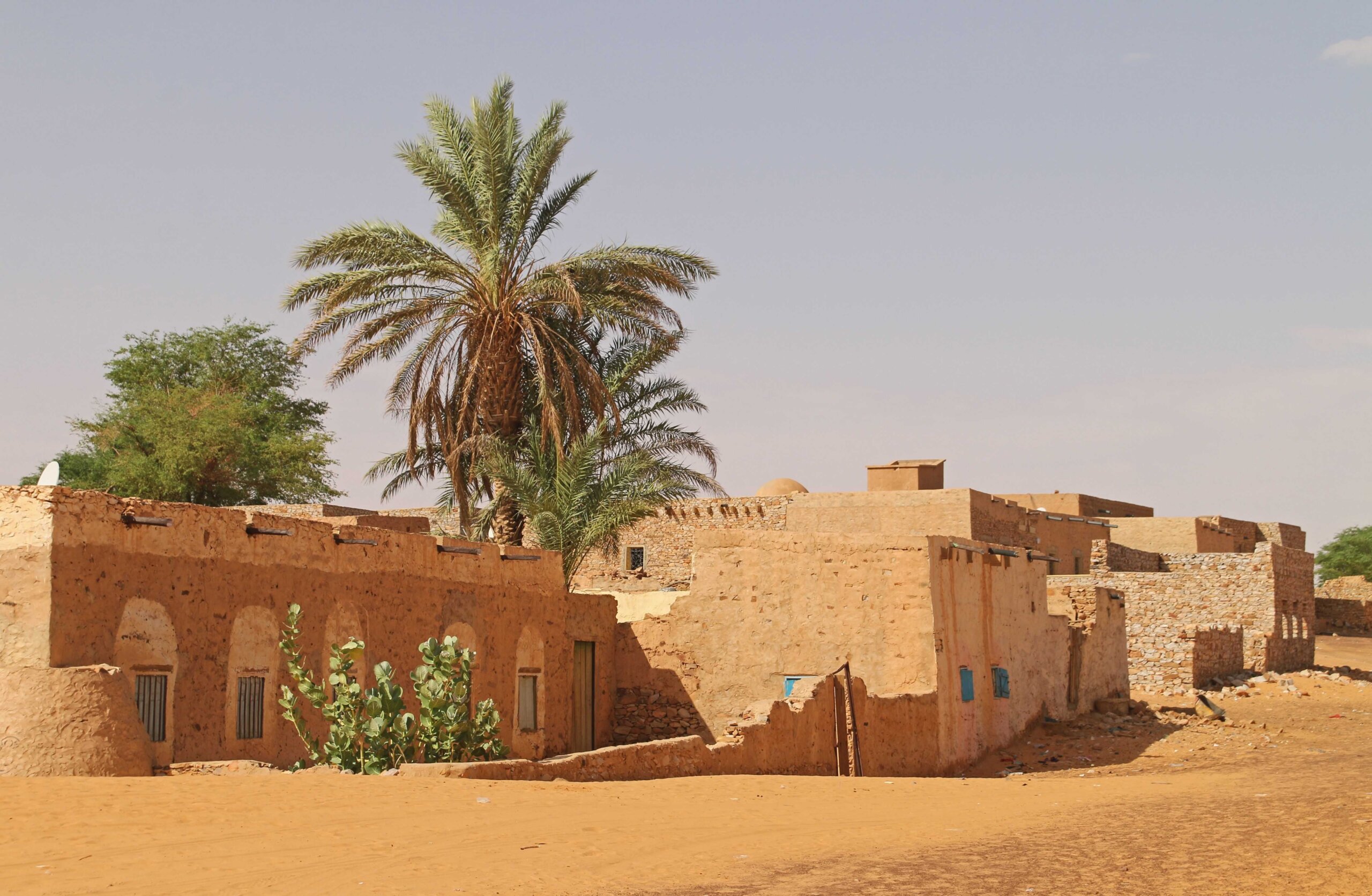 وزير الثقافة يبحث مع مجموعة من الأثريين نتاج البحث في حقل أزوكي الأركيوجي