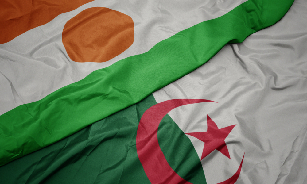 الجزائر تحذر من اللجوء للتدخل العسكري الأجنبي لإعادة النظام  في النيجر