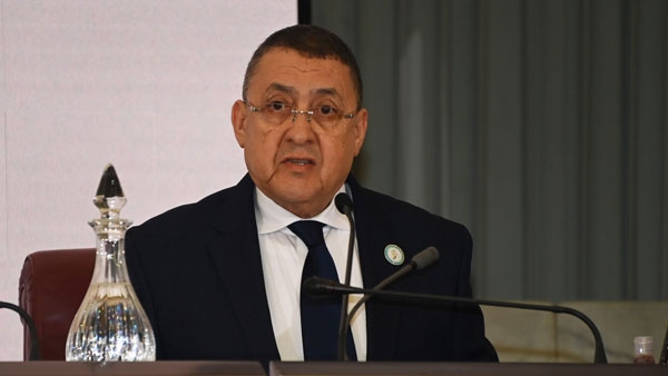الجزائر: استبعدنا منذ نهاية العام الحالي 80 ألف مهاجر غير نظامي