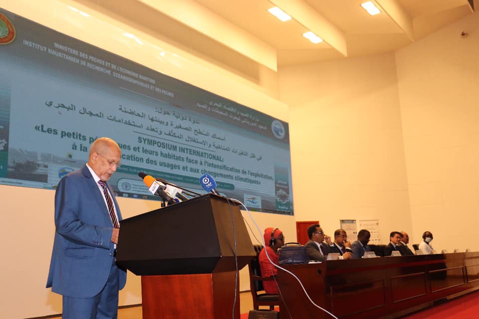 وزير الصيد: أسماك السطح الصغيرة تشكل الجزء الأكبر من الثروة السمكية