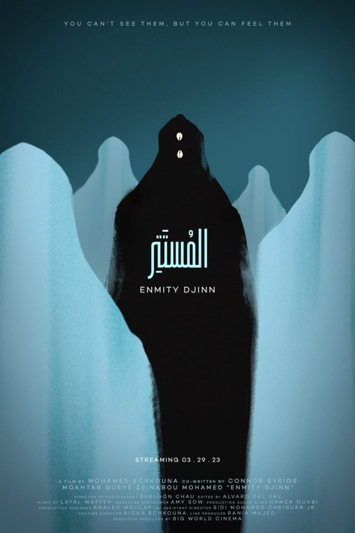 موريتانيا: آراء متباينة بعد عرض "المستتر" على نتفليكس