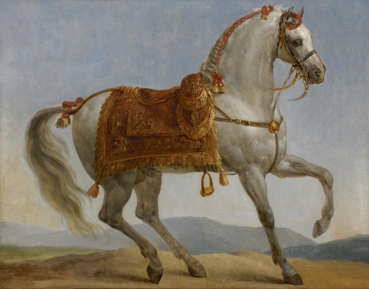 من تاريخ الخيل في موريتانيا