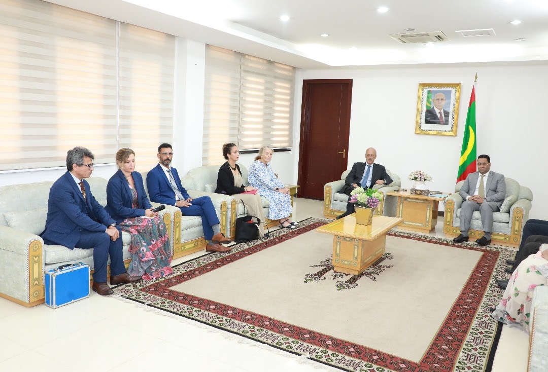 الوزير الأول يناقش مع مقرر أممي واقع المهاجرين