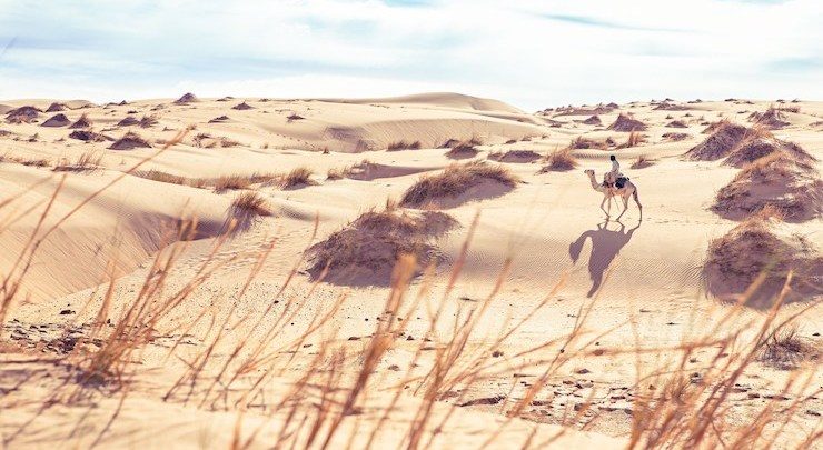 وزارة النقل: الظواهر المناخية المتطرفة تشكل تهديدا للبلاد