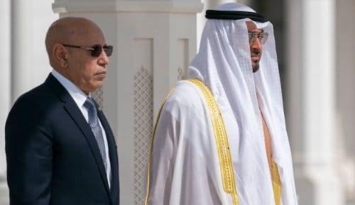 بن زايد: حريصون على تعزيز علاقات التعاون مع موريتانيا