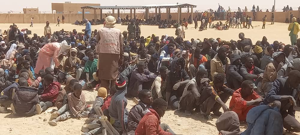الأمم المتحدة: الجزائر رحلت أكثر من 9 آلاف مهاجر إلى النيجر