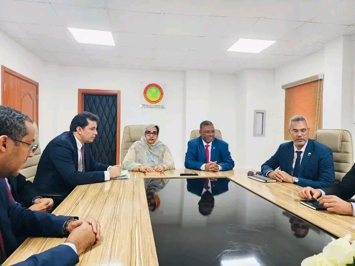 الحكومة تبحث مع شركتي تازيازت وMCM آليات تحسين الوضع البيئي بولاية إنشيري