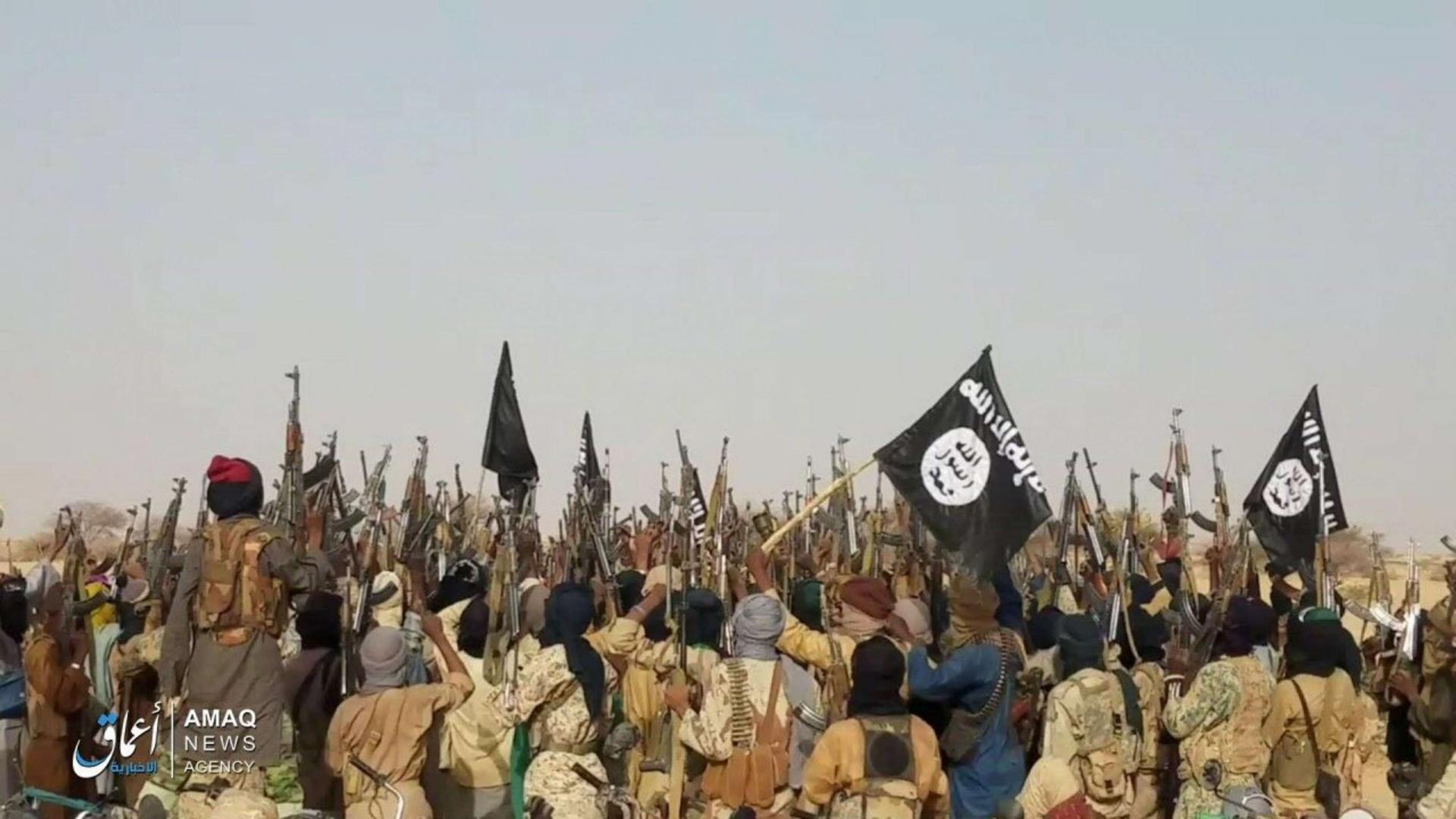 النيجر: "داعش" ينقل قواته إلى الحدود مع نيجيريا