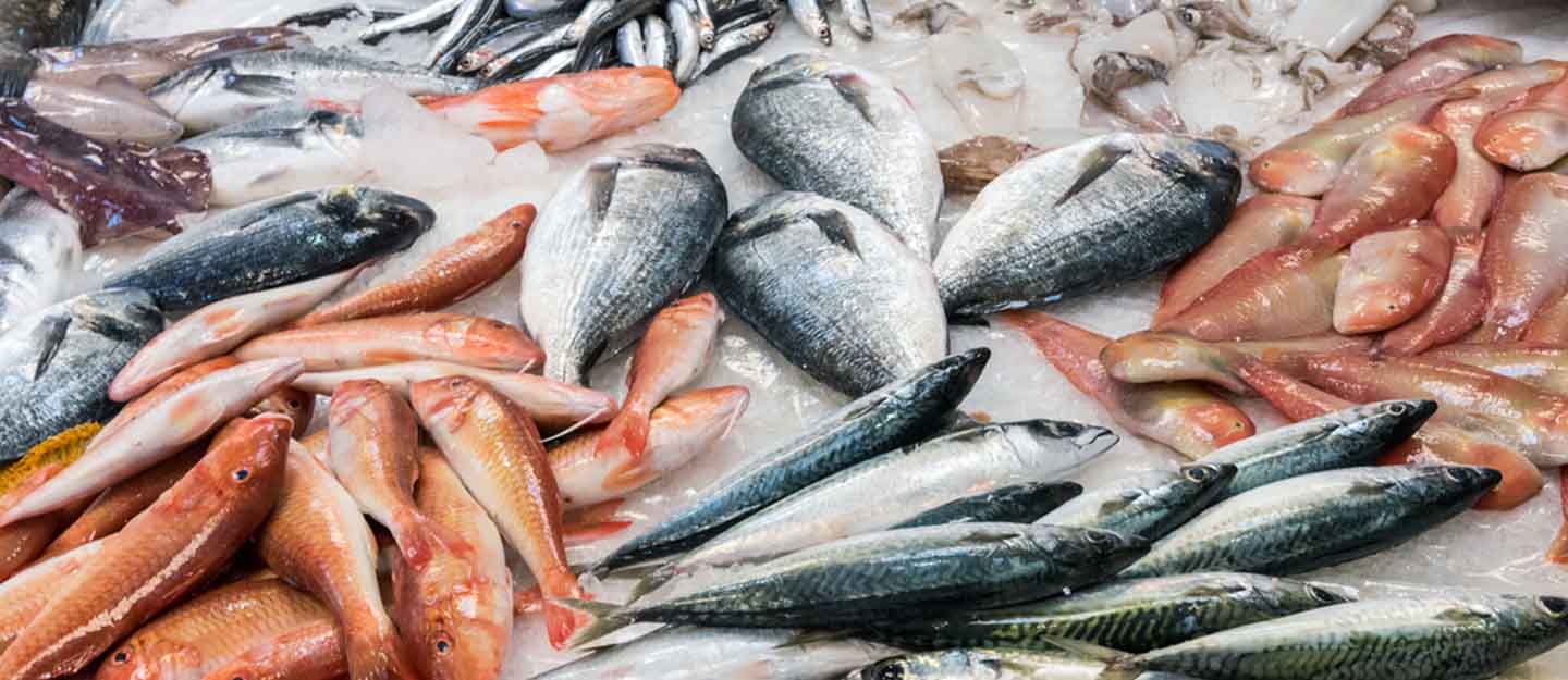 انواذيبو : افتتاح 15 نقطة لبيع السمك بأسعار مخفضة
