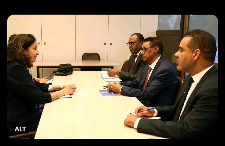 الحكومة: تزايد أعداد اللاجئين الماليين في موريتانيا يتطلب خطة طوارئ تشاركية