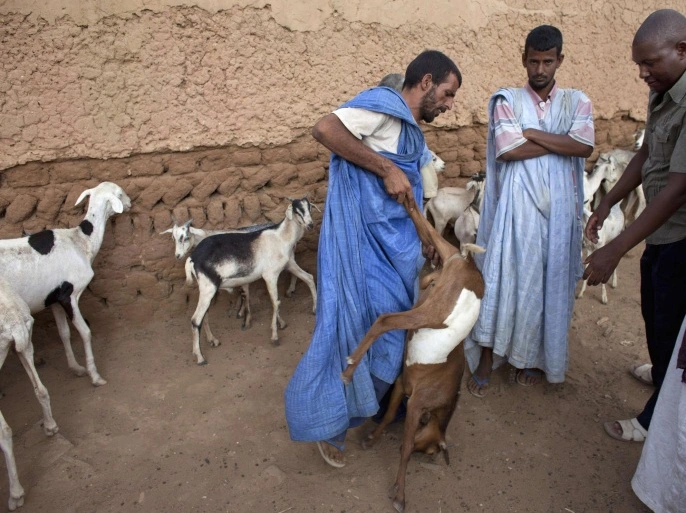 موريتانيا: تسجيل 16 حالة وفاة بحمى الوادي المتصدع