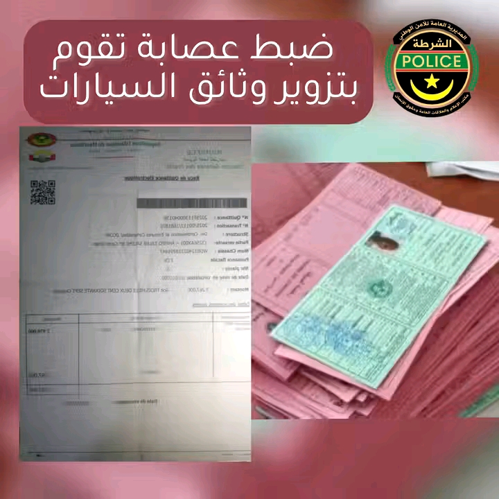 الشرطة تلقي القبض على عصابة تمتهن تزوير وثائق السيارات