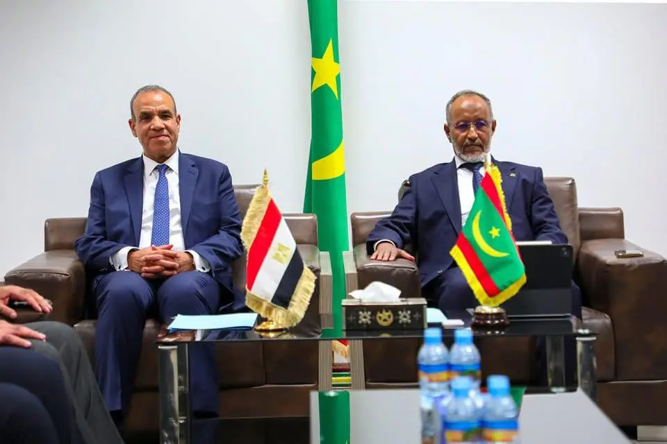 نواكشوط: وزير الصحة ووزير الخارجية المصري يبحثان مجالات التعاون الصحي