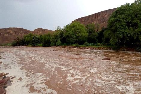 تساقطات مطرية في تسع ولايات