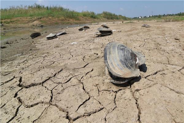 تقرير: السنوات 8 الأخيرة هي الأكثر حرا حتى الآن