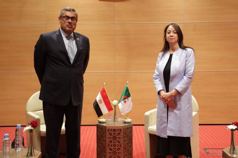 الجزائر ومصر تؤكدان مواصلة التنسيق بشأن الأزمات في القارة الإفريقية