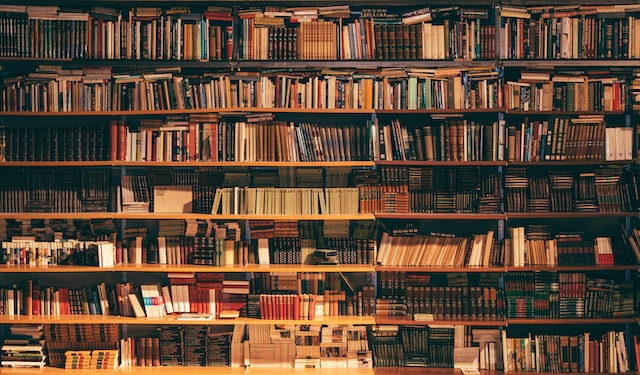 نقدية المشروع القومي والفكرة الليبرالية