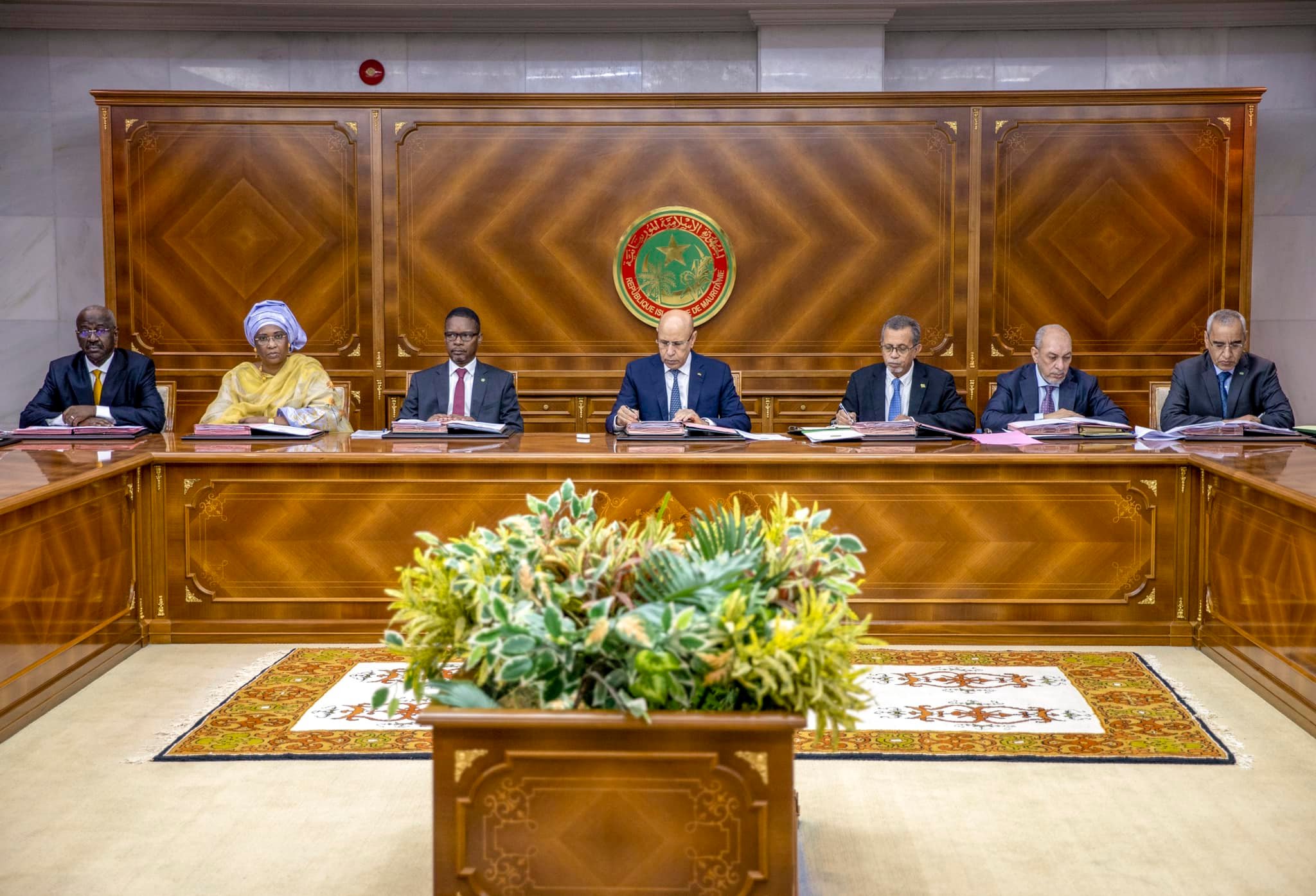 موريتانيا: الحكومة تصادق على إنشاء مشروع لإنتاج الدواجن والأعلاف
