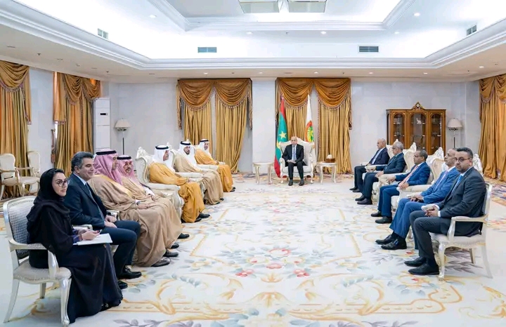 يضم 60 مستثمرا.. ولد الغزواني يلتقي وفدا سعوديا