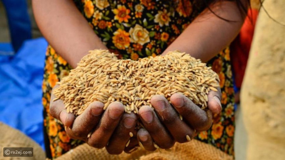 كيدي ماغا :  وكالة التنمية الفرنسية تمول مشروعا للمساهمة في الأمن الغذائي