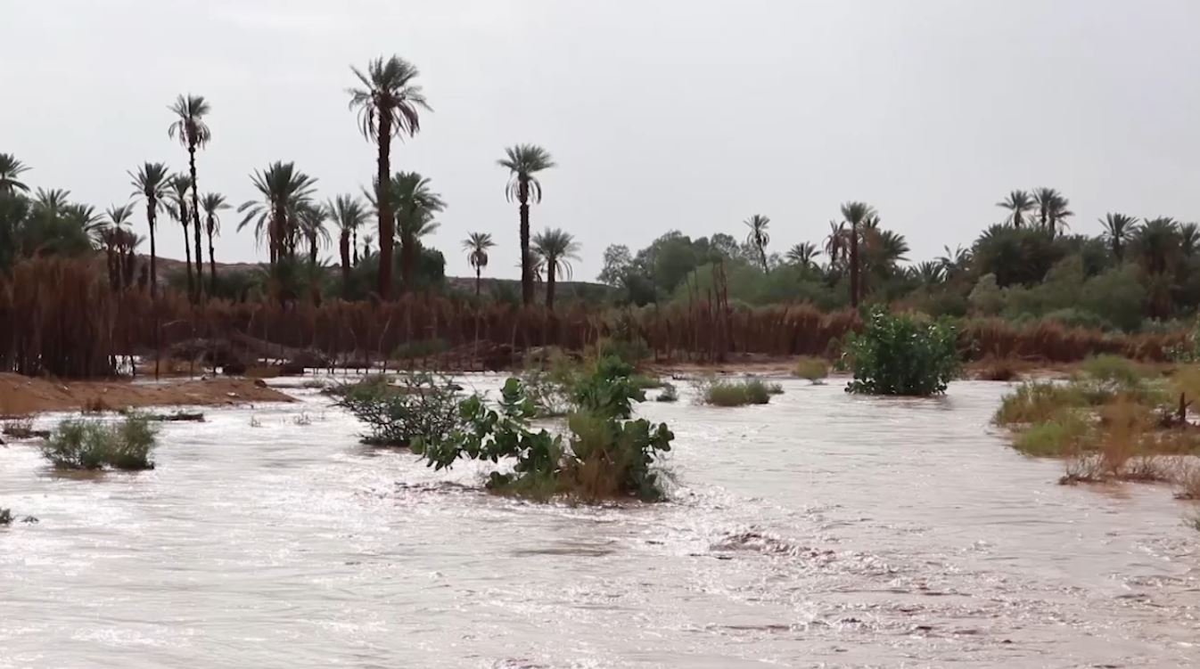 تساقطات مطرية على مناطق متفرقة من موريتانيا