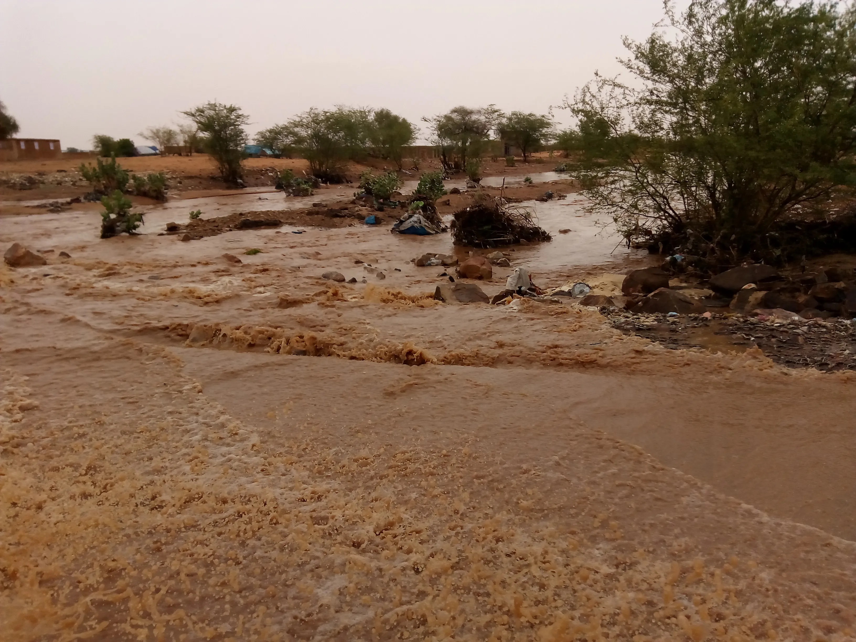 موريتانيا: تساقطات مطرية على مناطق متفرقة من البلاد