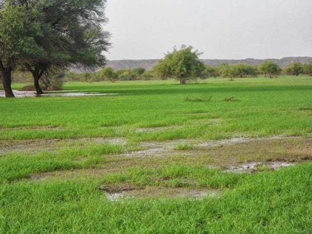 موريتانيا: توقع أمطار خفيفة على بعض المناطق