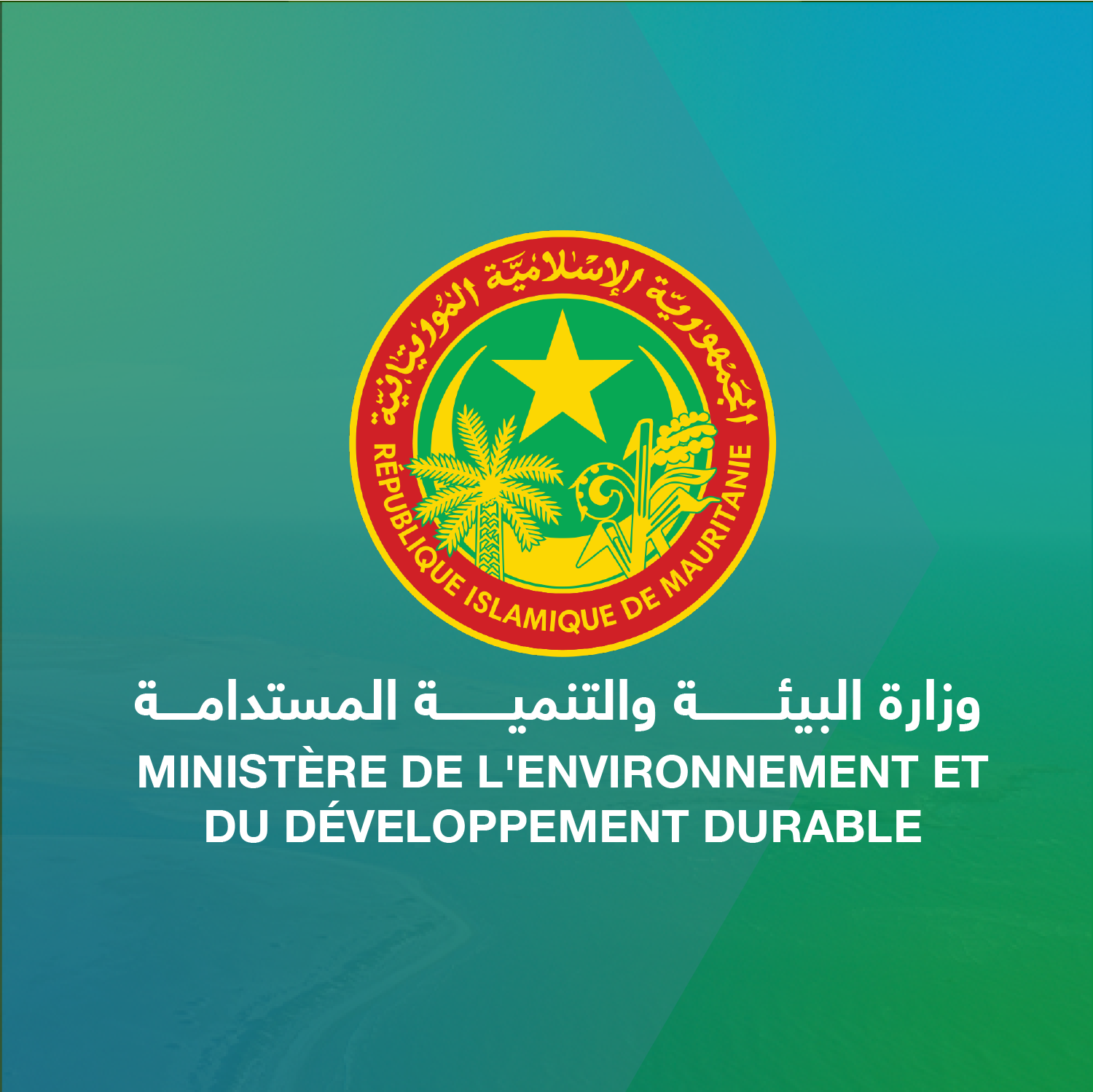 وزارة البيئة: نعمل على مراجعة النصوص المتعلقة بتسيير النفايات