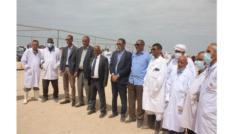 وزارة التنمية الحيوانية تعاين بعض المسالخ بولايتي نواكشوط الشمالية والجنوبية