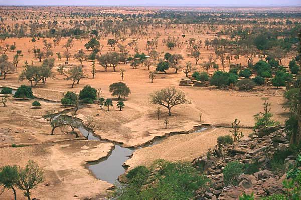 حصد أرواح 23 ألف شخص في 2023.. تزايد ملحوظ للأنشطة الإرهابية في إفريقيا