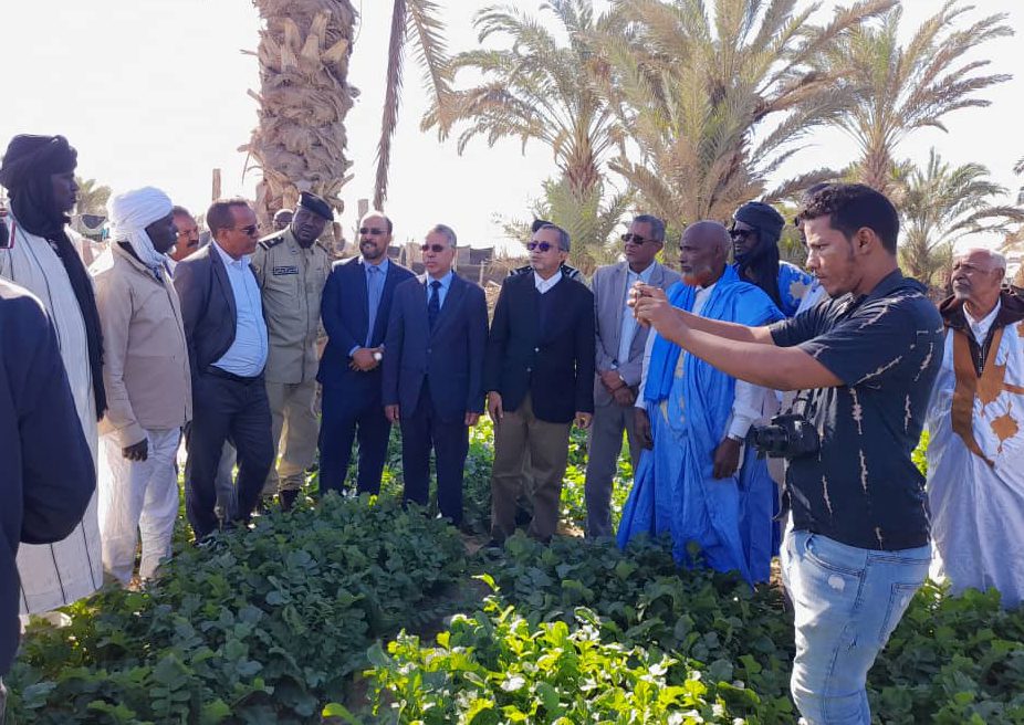 وزير الزراعة: يجب استغلال القدرات المتوفرة للحصول على الاكتفاء الذاتي