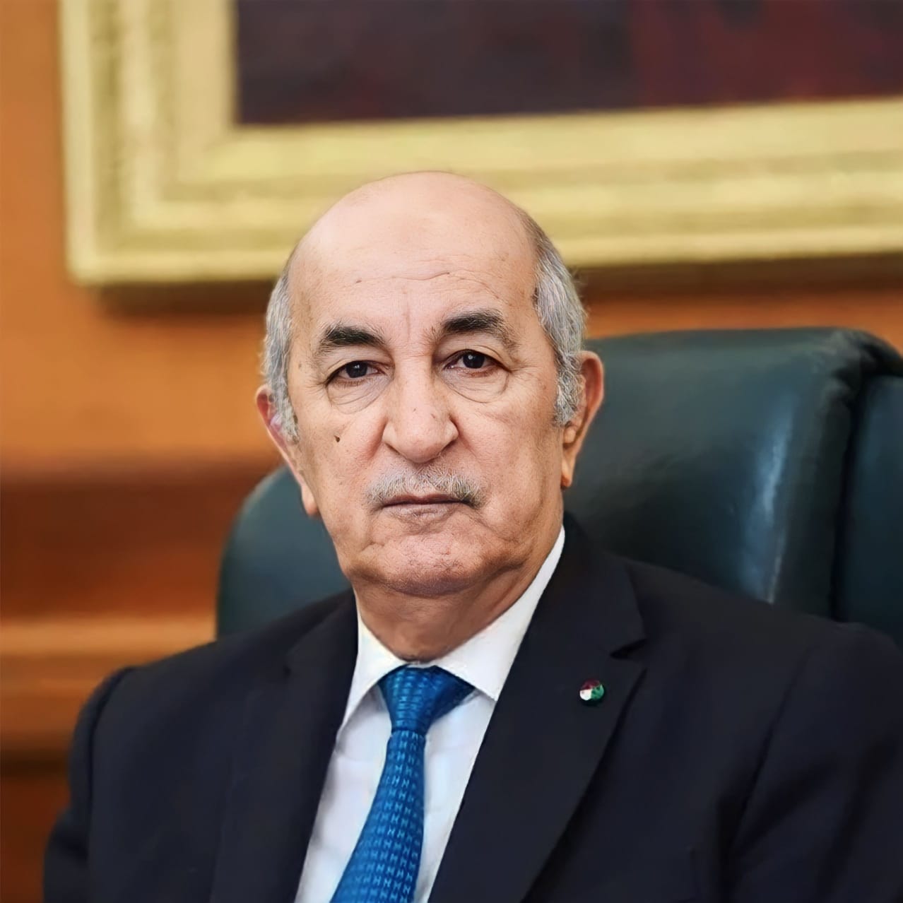 تبون: سنعمل من خلال عضويتنا في مجلس الأمن على تعزيز صوت إفريقيا