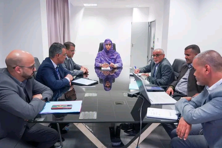 نواكشوط: استعراض النظام المعلوماتي الجديد للصندوق الوطني للتأمين الصحي
