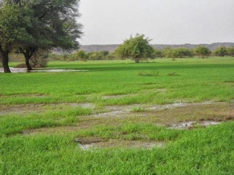 موريتانيا: الأرصاد الجوية تتوقع تساقط أمطار على عدة مناطق